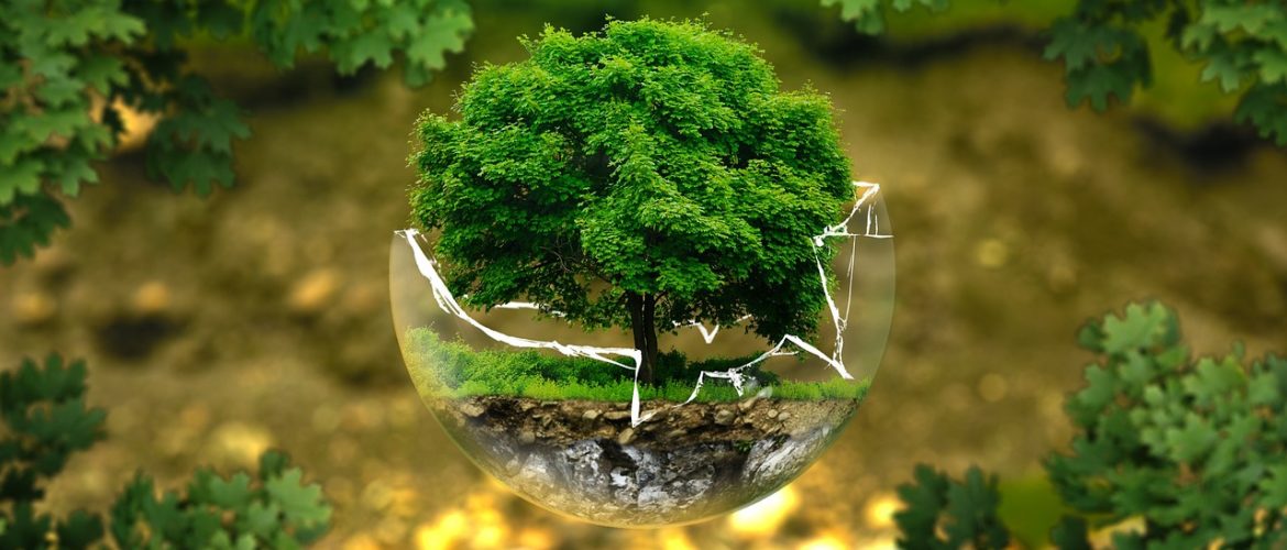 environmental protection, natural reserve, ecology